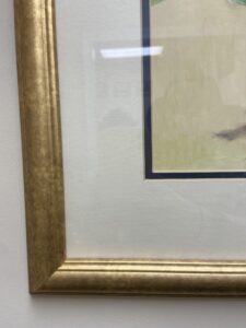 Pair of Giclees of Pansies in Gold Frames