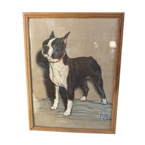 Print of Boston Terrier circa 1947 Gladys Emerson Cook