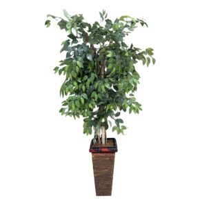 Faux Ficus in Planter