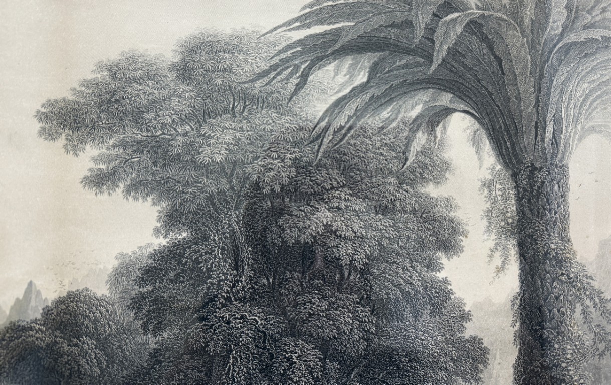 Antique c1855 Engraving of Thomas Cole's "The Voyage of Life: Youth" Antique c1855 Engraving of Thomas Cole's "The Voyage of Life: Youth"