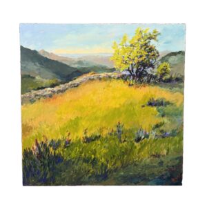 "Carrara Mountains" Original Acrylic on Canvas of Colorful Field