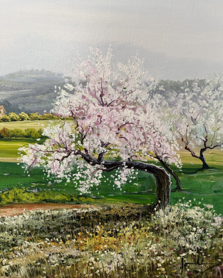 Original Oil on Canvas of Cherry Blossoms Original Oil on Canvas of Cherry Blossoms