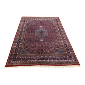 9x13 Red & Blue Hand-Knotted Bidjar Area Rug