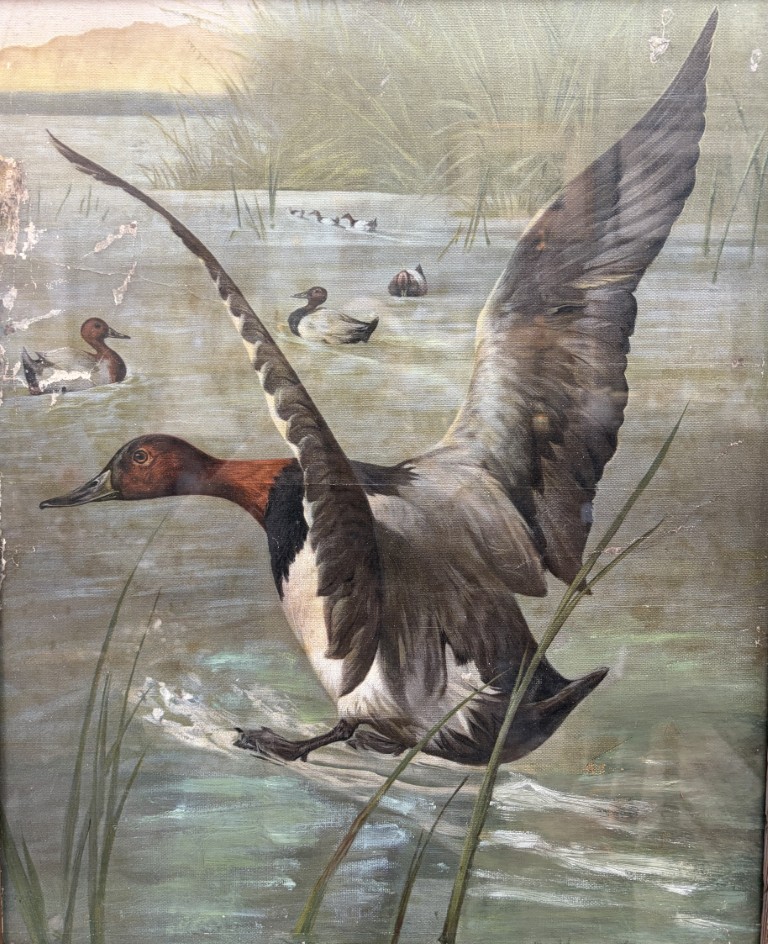 Antique Original Signed Oil on Canvas Painting of Ducks Antique Original Signed Oil on Canvas Painting of Ducks
