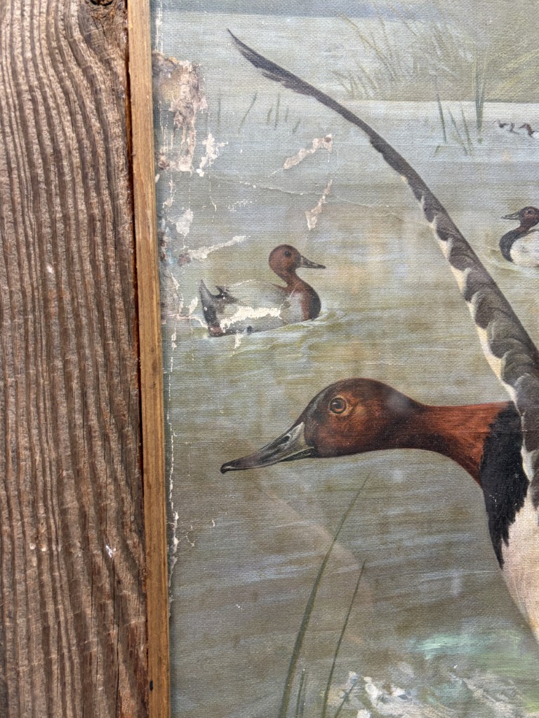 Antique Original Signed Oil on Canvas Painting of Ducks Antique Original Signed Oil on Canvas Painting of Ducks