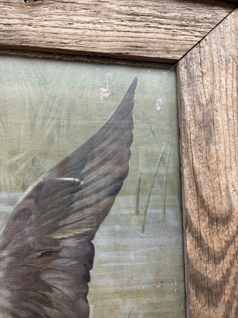Antique Original Signed Oil on Canvas Painting of Ducks Antique Original Signed Oil on Canvas Painting of Ducks